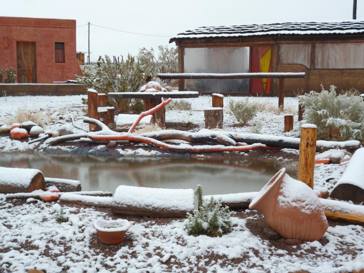 Mamuna Posada Un Lugar Para Disfrutar De A Dos Uspallata Extérieur photo